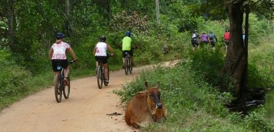 Yvonne Lindsay Cycling on the  tour with redspokes